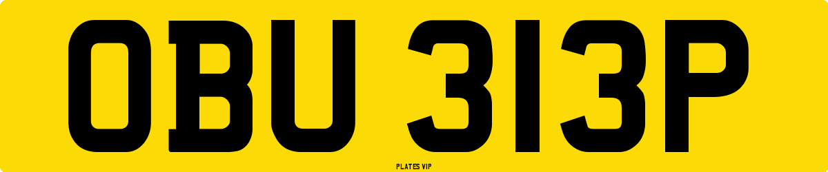 OBU 313P Number Plate