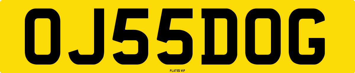 OJ 55 DOG Number Plate