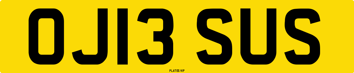 OJ13 SUS Number Plate