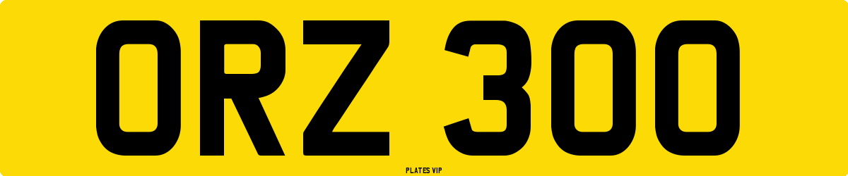 ORZ 300 Number Plate