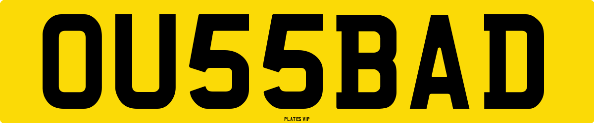 OU 55 BAD Number Plate