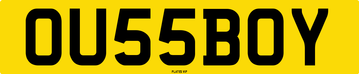 OU 55 BOY Number Plate