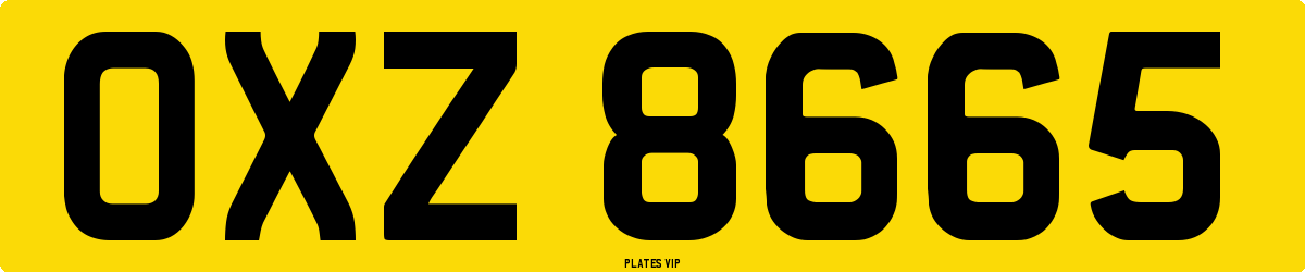 OXZ 8665 Number Plate