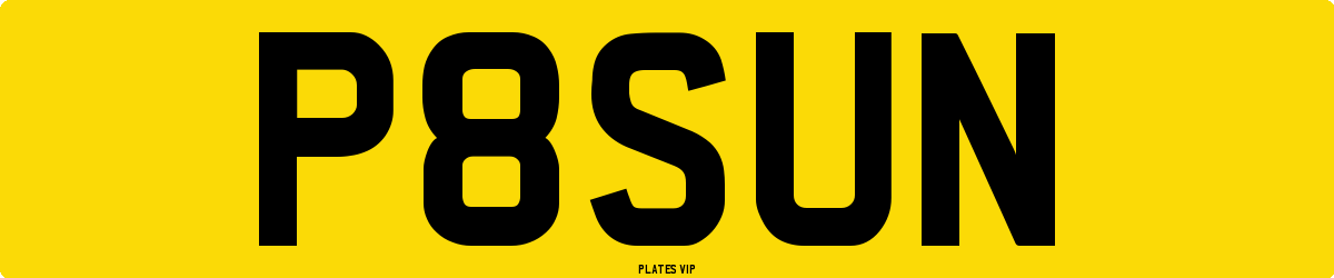 P 8 SUN Number Plate