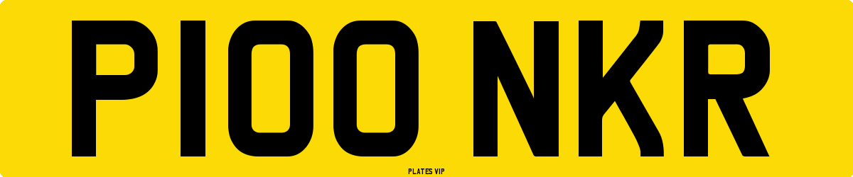 P100 NKR Number Plate