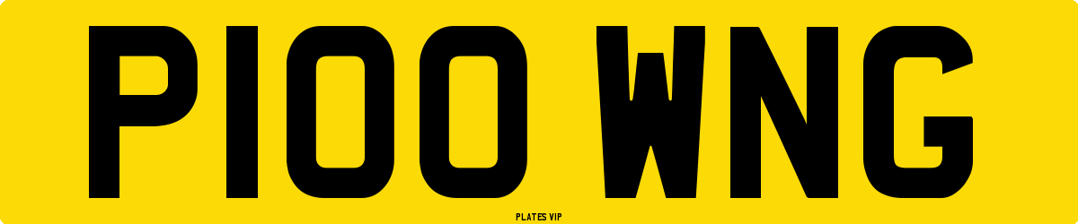 P100 WNG Number Plate