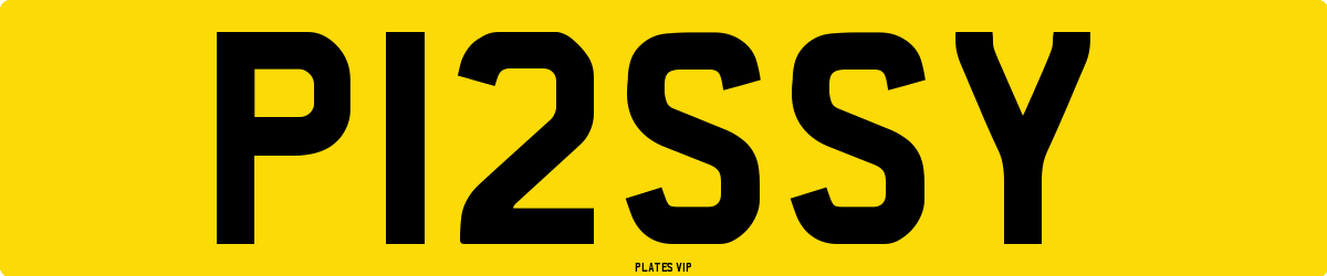 P12SSY Number Plate