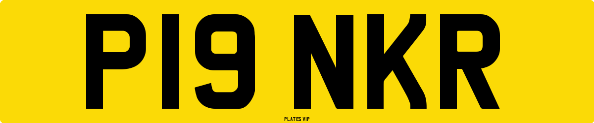 P19 NKR Number Plate