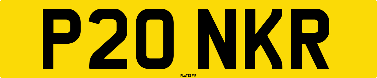 P20 NKR Number Plate