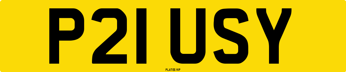 P21 USY Number Plate