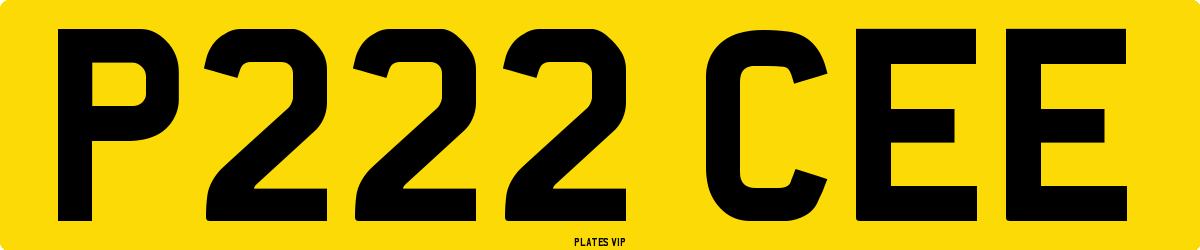 P222 CEE Number Plate