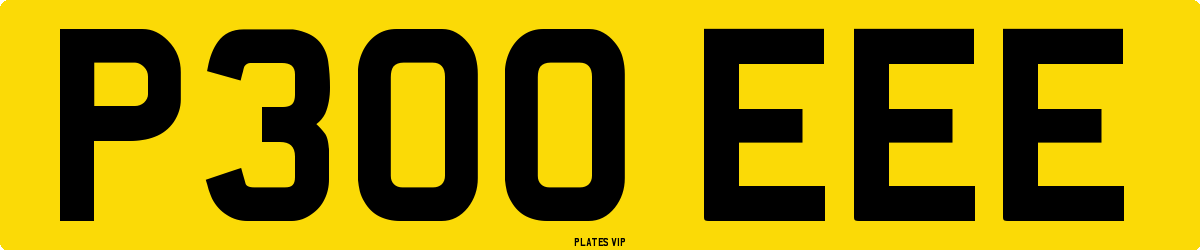 P300 EEE Number Plate