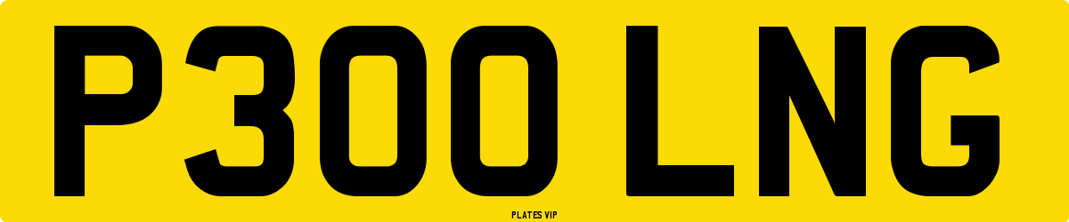 P300 LNG Number Plate