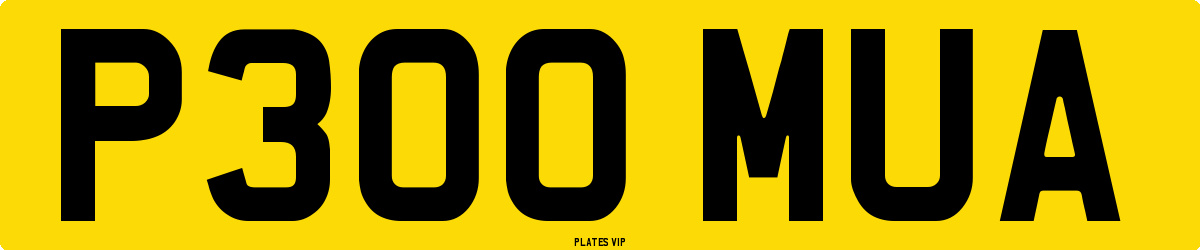 P300 MUA Number Plate