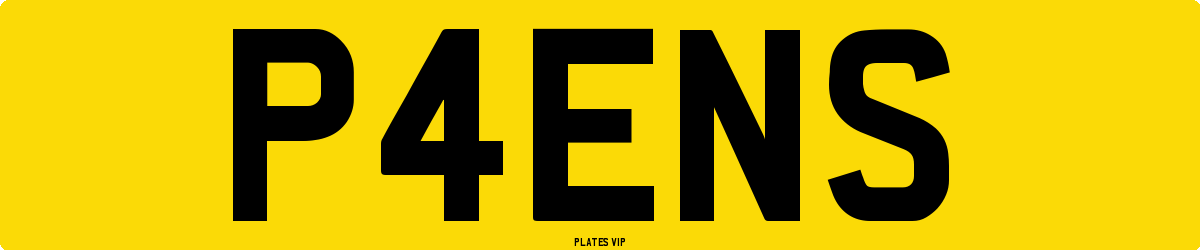 P4ENS Number Plate