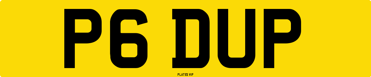 P6 DUP Number Plate