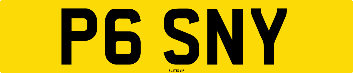 P6 SNY Number Plate