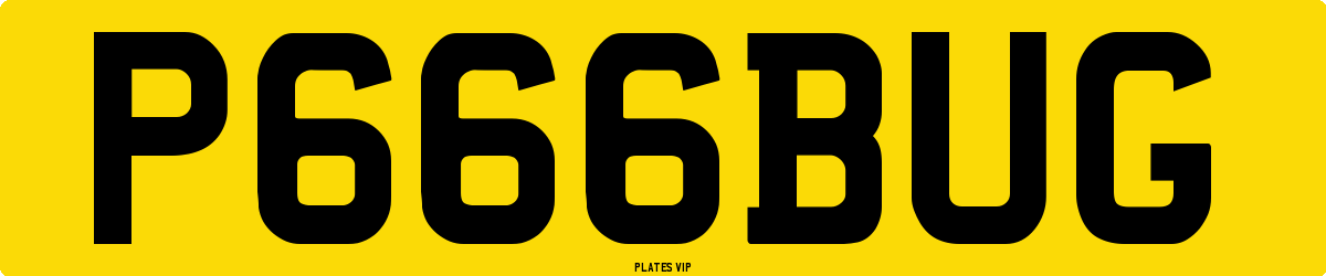 P666BUG Number Plate