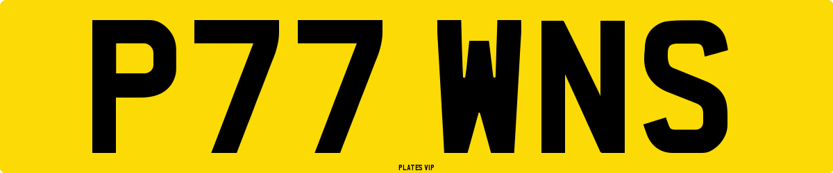 P77 WNS Number Plate