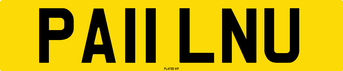 PA11 LNU Number Plate