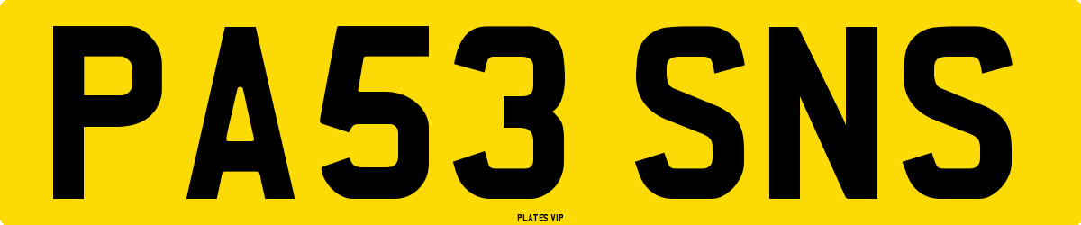 PA53 SNS Number Plate