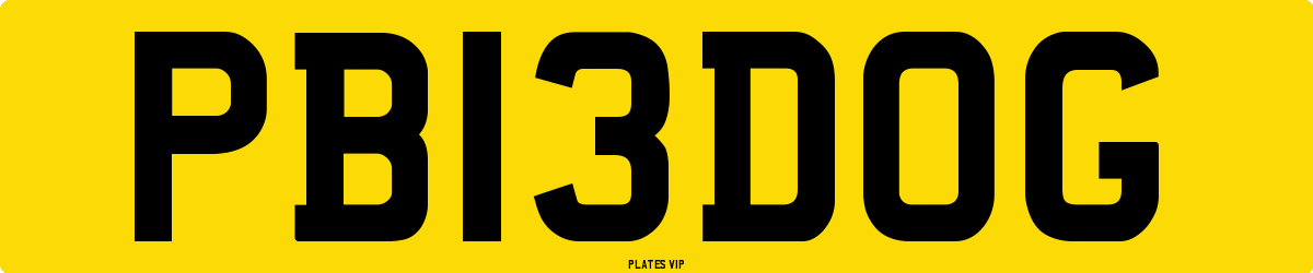 PB 13 DOG Number Plate