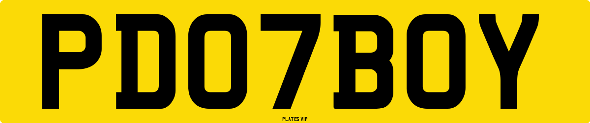 PD 07 BOY Number Plate