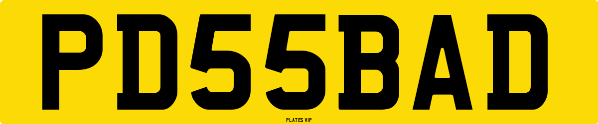 PD 55 BAD Number Plate