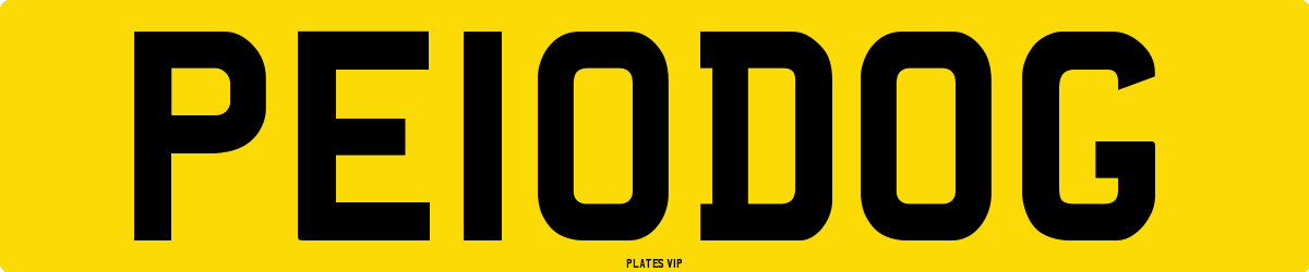 PE 10 DOG Number Plate