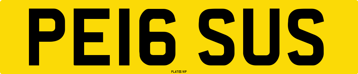 PE16 SUS Number Plate
