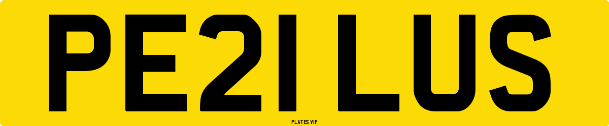 PE21 LUS Number Plate