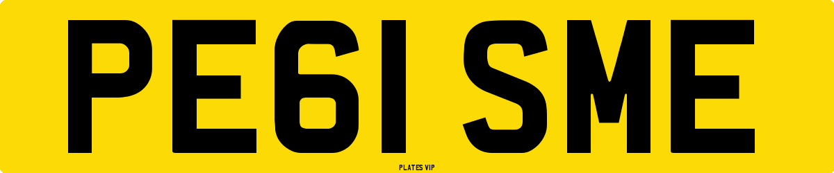 PE61 SME Number Plate