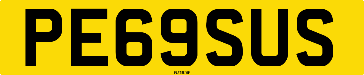 PE69SUS Number Plate