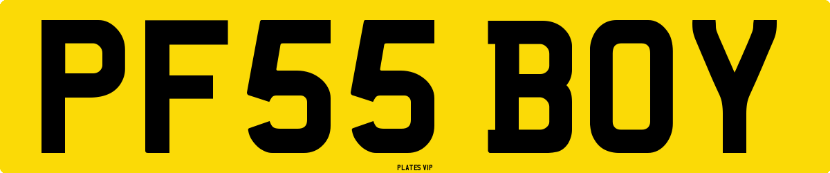 PF55 BOY Number Plate