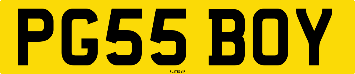 PG55 BOY Number Plate