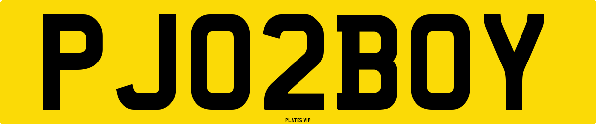 PJ 02 BOY Number Plate