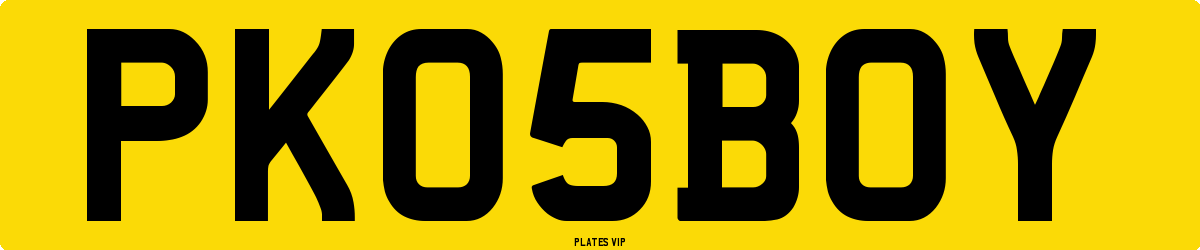 PK 05 BOY Number Plate