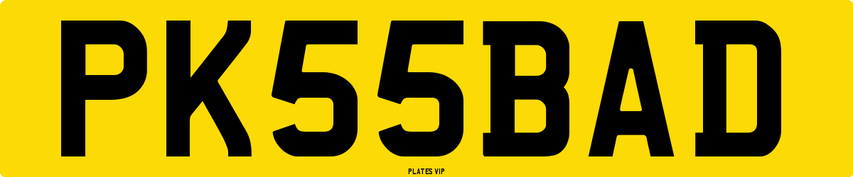 PK 55 BAD Number Plate