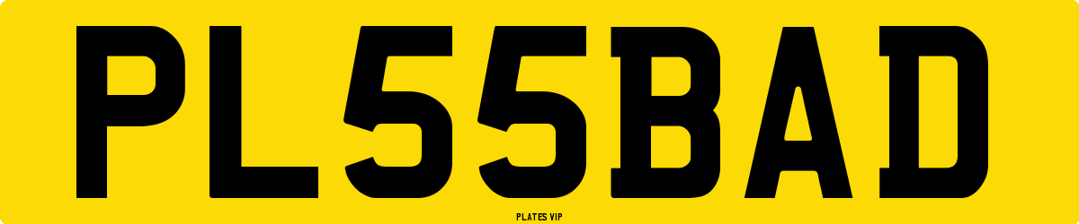 PL 55 BAD Number Plate