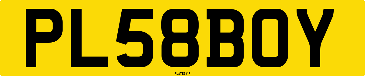 PL 58 BOY Number Plate