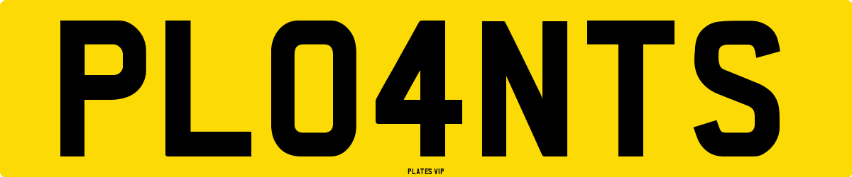 PL04NTS Number Plate