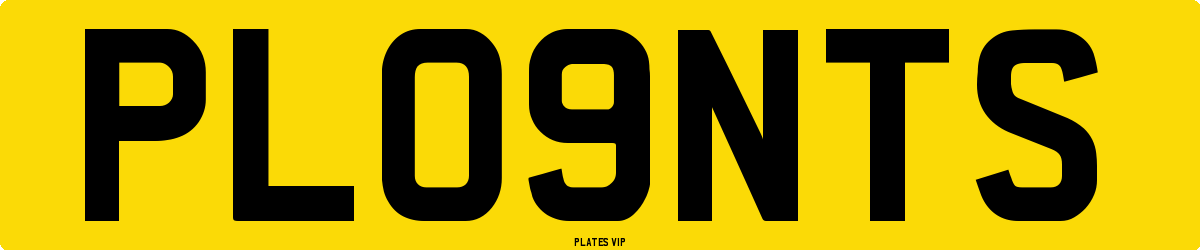 PL09NTS Number Plate