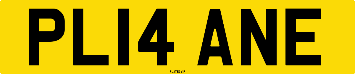 PL14 ANE Number Plate