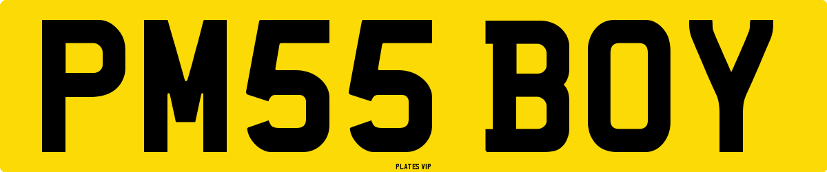 PM55 BOY Number Plate