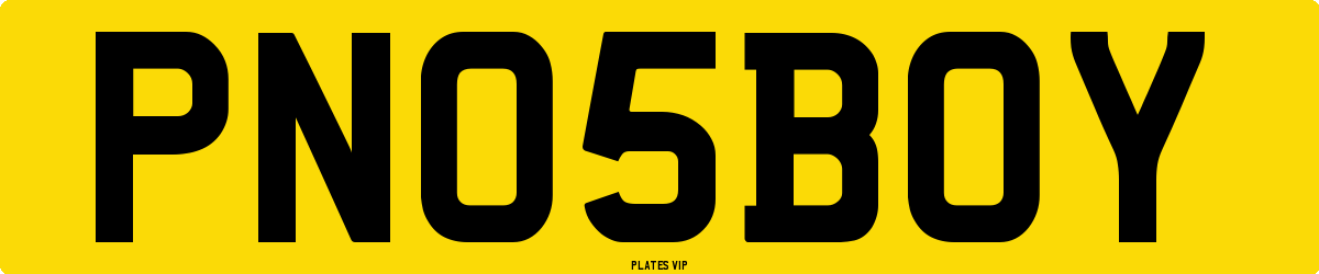 PN 05 BOY Number Plate