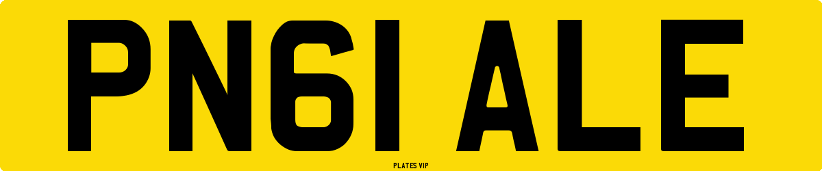 PN61 ALE Number Plate