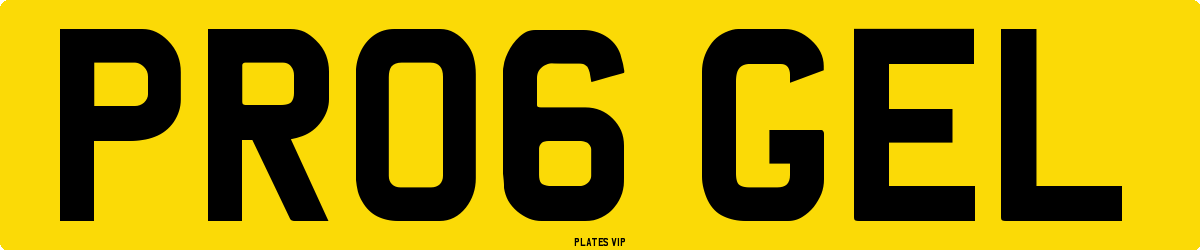 PR06 GEL Number Plate