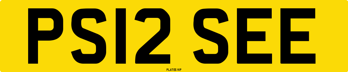 PS12 SEE Number Plate