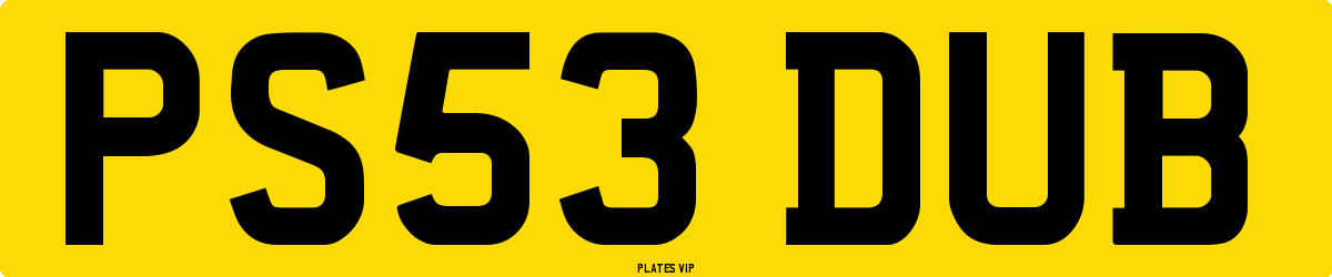PS53 DUB Number Plate