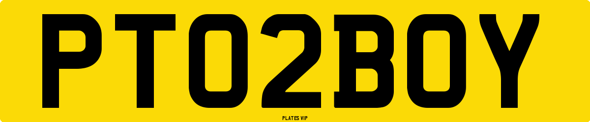PT 02 BOY Number Plate